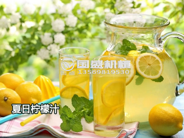 檸檬螺旋榨汁機型號 檸檬螺旋榨汁機型號