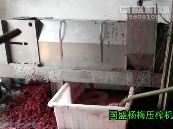 水果壓榨機多少錢 水果壓榨機多少錢